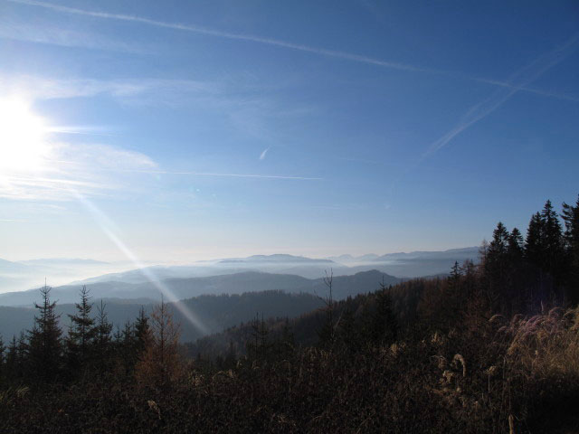 von Weg 489 Richtung Westen