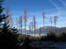 Schneealpe und Raxalpe vom Stürzerkogel aus