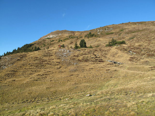 Weg 731 zwischen Wurfgrundalm und Gernkogel