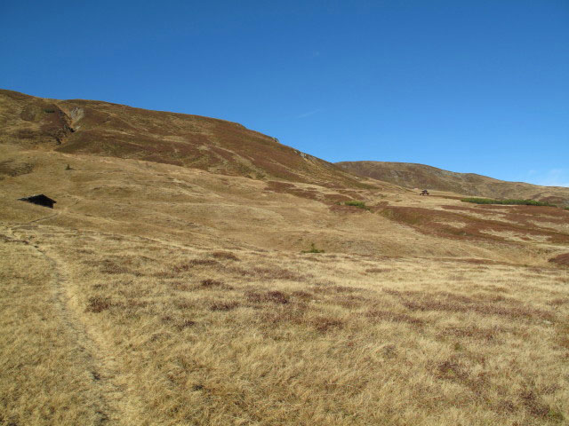 Weg 731 zwischen Wurfgrundalm und Gernkogel