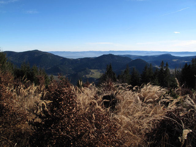 von Weg 201 Richtung Osten