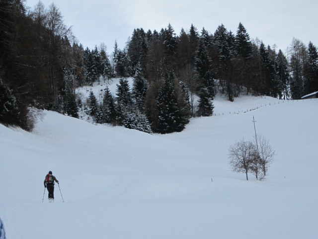 Axel zwischen Hof und Kogelmoos