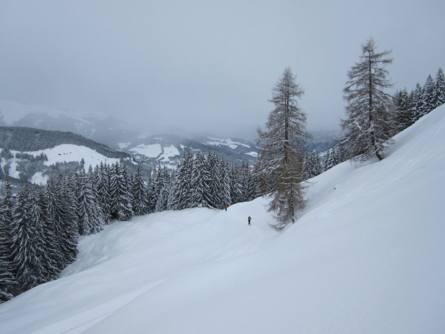 zwischen Praa und Vorderer Feldalm