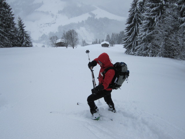 Martina zwischen Unterbergeralm und Unterberg