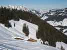 Moserbaumgartenalm, 1.603 m