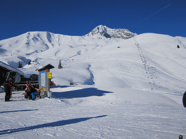 Mohnenm&auml;hder (15. J&auml;n.)