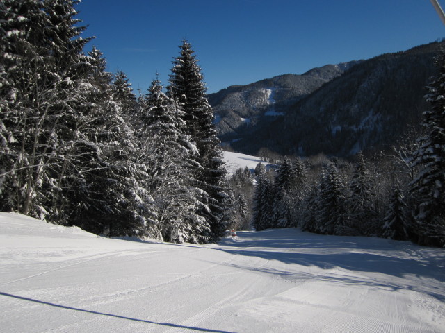 Abfahrt des Schlepplifts Reidl V