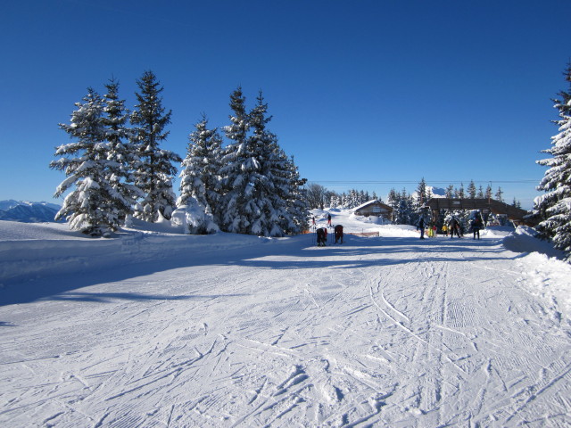 bei der Bergstation des Vierersessellifts Hennesteck, 1.298 m