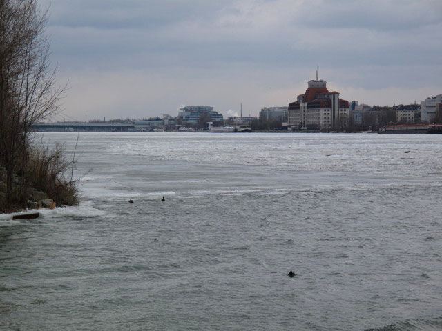 zwischen Reichsbrücke und Donaustadtbrücke