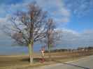 Marchfeldkanal-Radweg zwischen Gemeindeweide und Fuchsenbigl