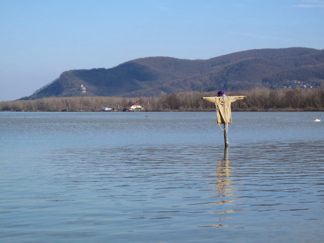 Donau zwischen Tulln und Kraftwerk Greifenstein