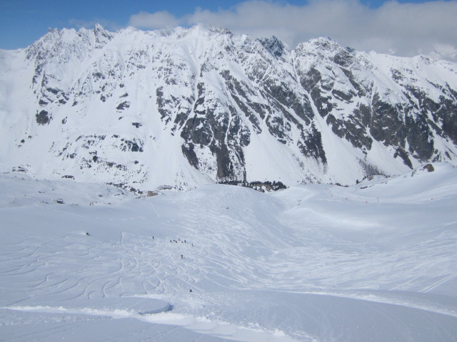 Palinwiese (17. Apr.)