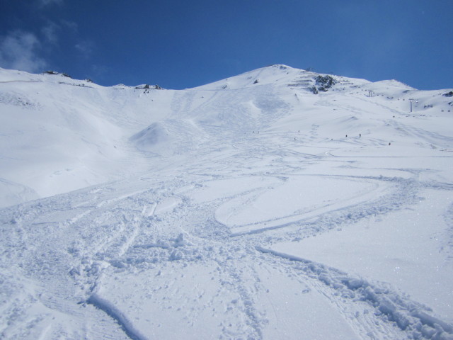 Palinwiese (17. Apr.)