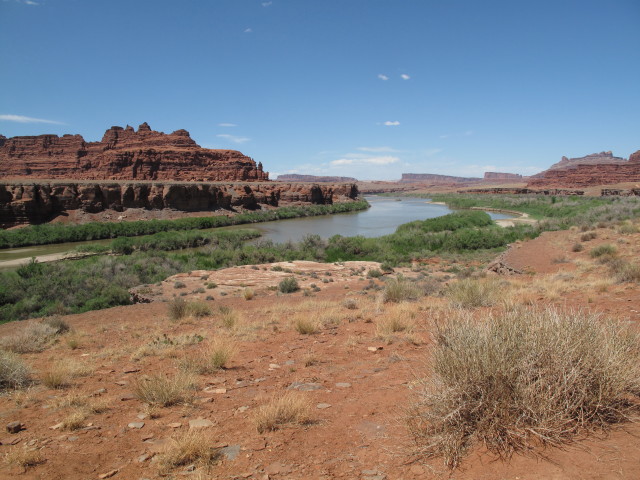 Colorado River vom Chicken Corners Jeep Trail aus (10. Mai)