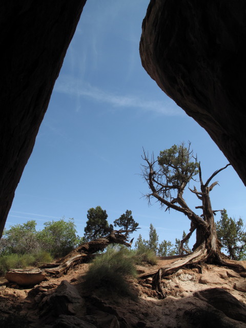 Tusher Tunnel (11. Mai)