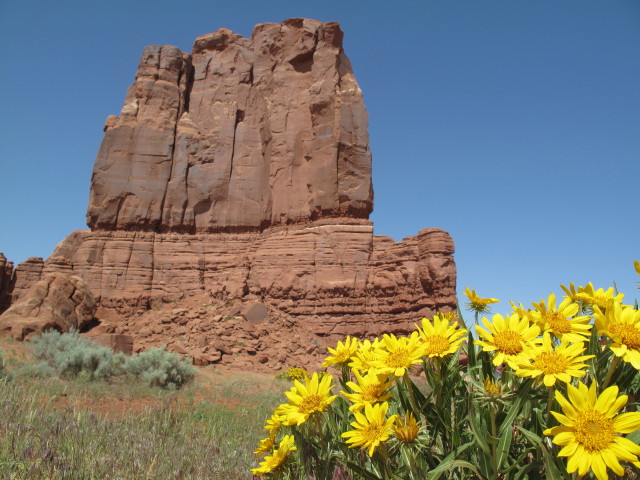 Tombstone Rock (12. Mai)