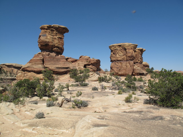 Big Spring Canyon Overlook im Canyonlands National Park, 1.487 m (14. Mai)