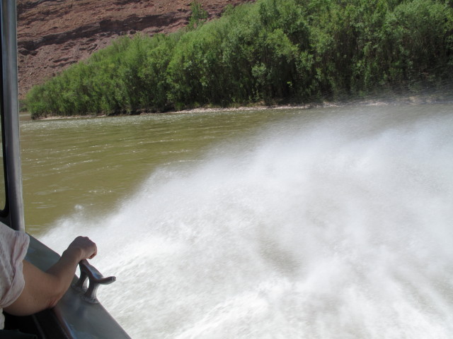 Colorado River zwischen Moab und Potash (17. Mai)