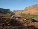 Labyrinth Camp Site im Canyonlands National Park (15. Mai)