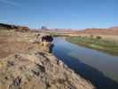 Papa und ich beim Green River im Canyonlands National Park (15. Mai)