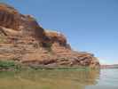 Colorado River zwischen Moab und Potash (17. Mai)