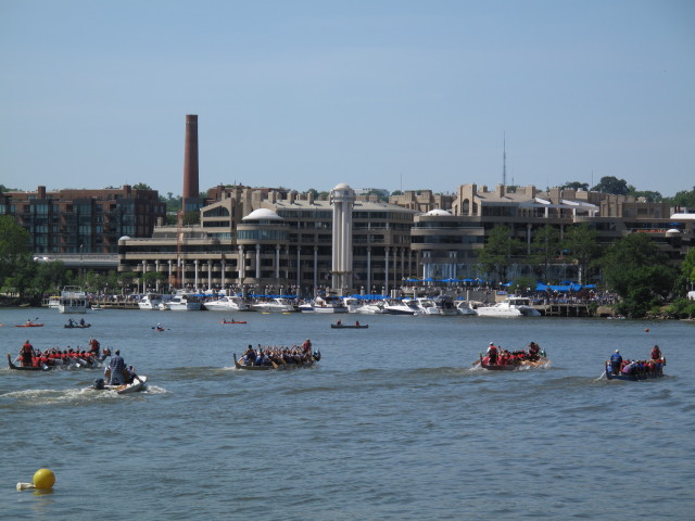 Potomac River (19. Mai)