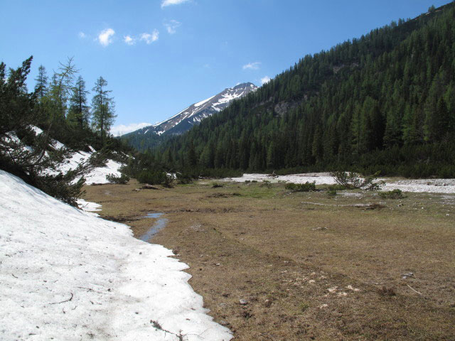 Grimmingboden (26. Mai)