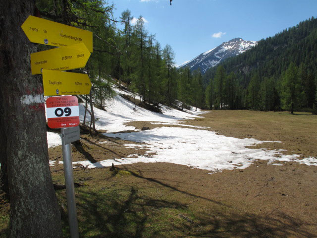 Grimmingboden, 1.496 m (26. Mai)