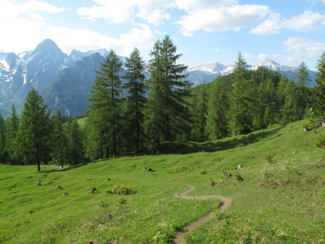 Weg 219 zwischen Ahorngraben und Schafferreith (26. Mai)