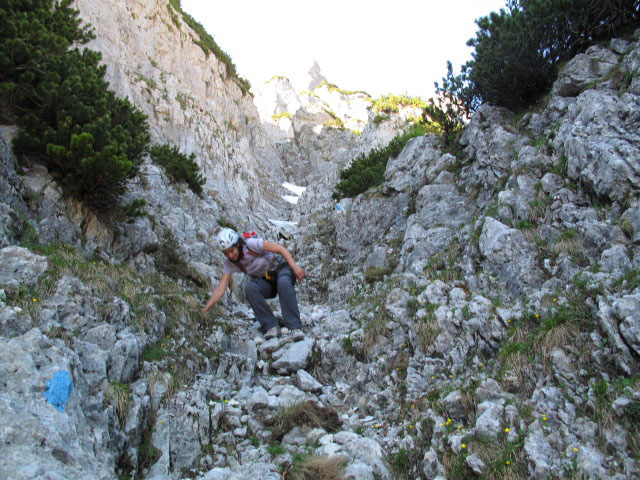 Monika zwischen Kleinem &Ouml;dstein und Gamssteinsattel (16. Juni)