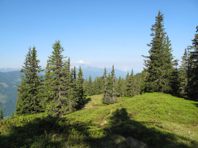 Weg 673 zwischen Niederberg und Blaseneck (17. Juni)