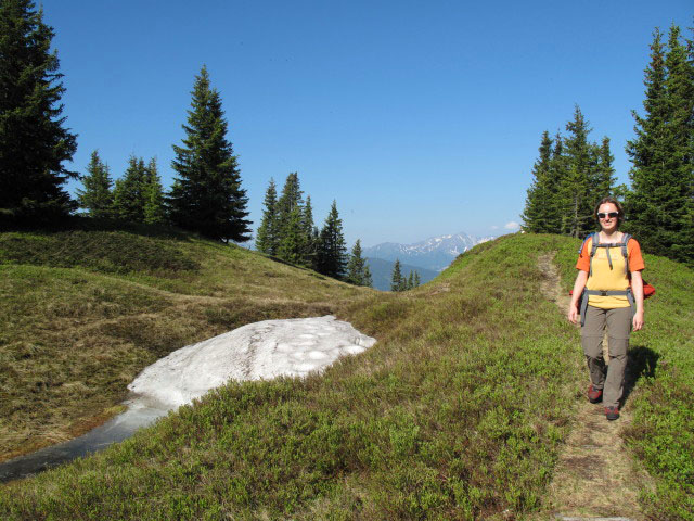 Carmen auf Weg 673 zwischen Niederberg und Blaseneck (17. Juni)