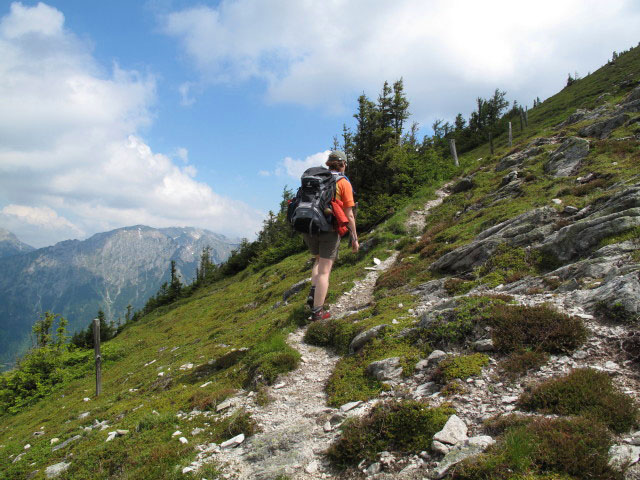 Carmen auf Weg 673 zwischen Haberlt&ouml;rl und Leobner (17. Juni)