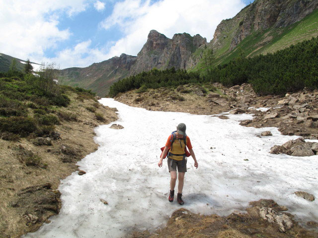 Carmen auf Weg 673 zwischen Leobner und Leobner T&ouml;rl (17. Juni)