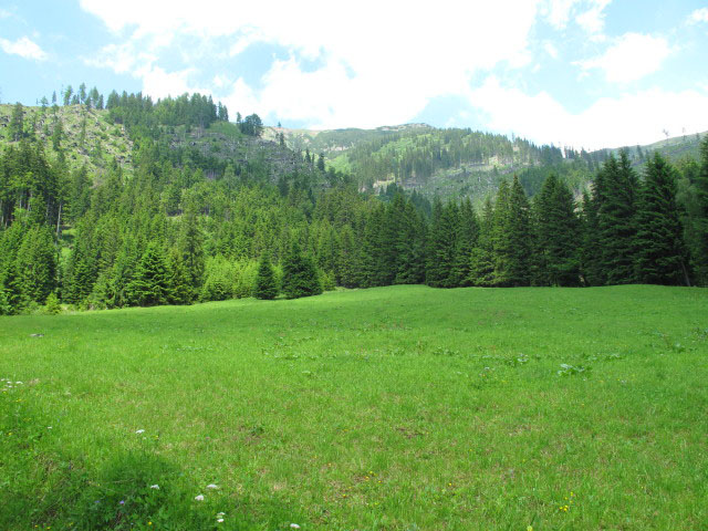 Pucheggwiese (17. Juni)