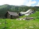 Aigelsbrunner Alm, 1.526 m (17. Juni)