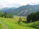 Wald am Schoberpass (17. Juni)