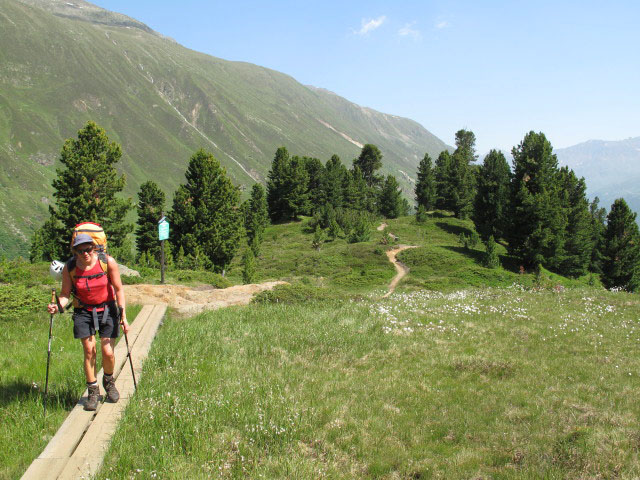 Gudrun am Lehrpfad Zirbenwald (30. Juni)
