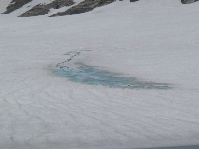 Gurgler Ferner (1. Juli)