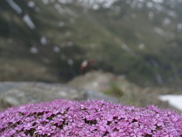 Christoph auf Weg 922 zwischen Hochwildehaus und Langtal (1. Juli)