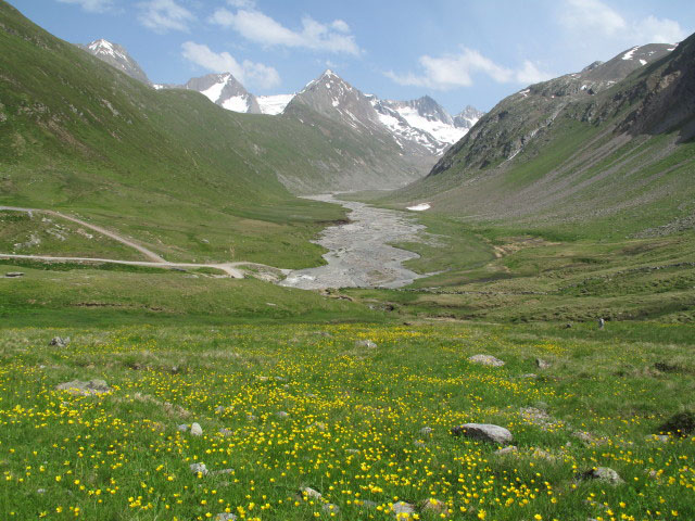 Rotmoostal von der Schönwieshütte aus (1. Juli)