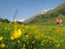 Gudrun und Christoph auf Weg 902 zwischen Obergurgl und Zirbenwaldhütte (30. Juni)