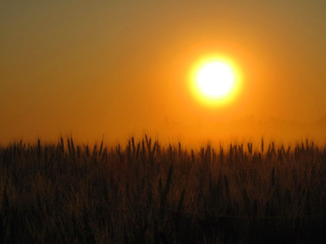 Sonnenaufgang &uuml;ber S&uuml;&szlig;enbrunn (18. Juni)