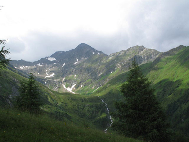 Lasörling von Weg 72 aus (7. Juli)