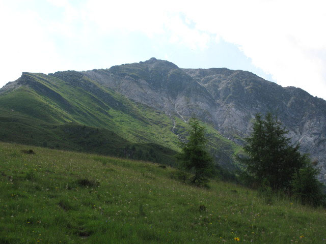 Berger Kogel von Weg 72 aus (7. Juli)