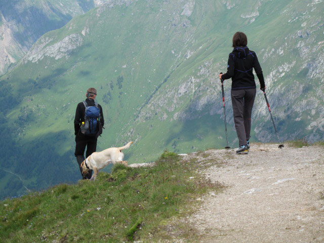 Weg 72 zwischen Berger Kogel und Wetterkreuz (7. Juli)