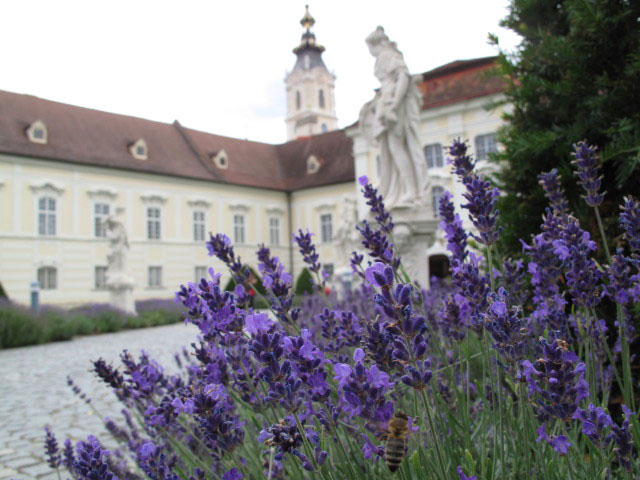 Stift Altenburg