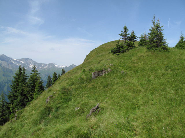 zwischen Langweidkogel und Heubergscharte