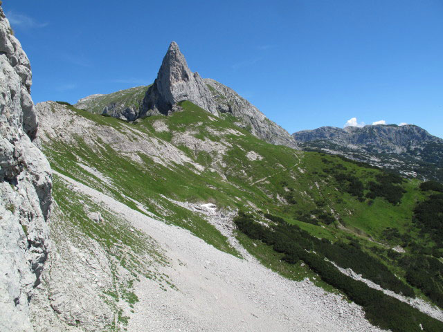 Sturzhahn vom Gamsblick-Klettersteig aus