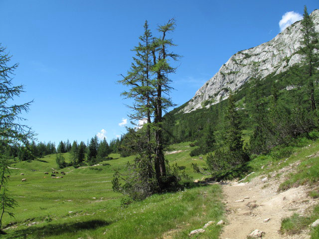 zwischen Quendling-See und Großsee